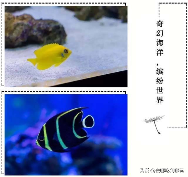 惠州巽寮湾海尚湾畔假日酒店优惠,惠州六悦海尚湾畔酒店