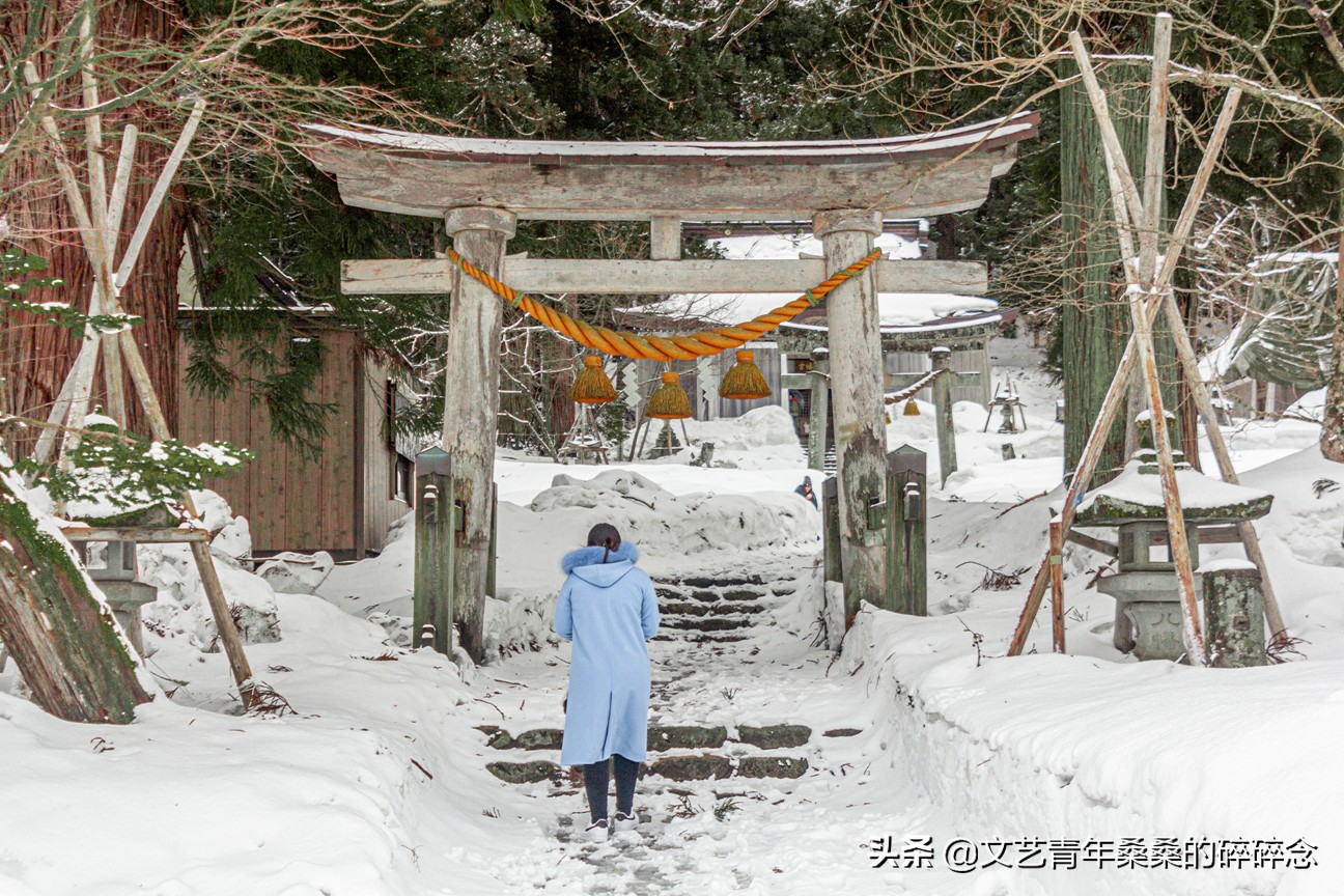冬季日本的自驾游攻略,冬日游日本名古屋攻略