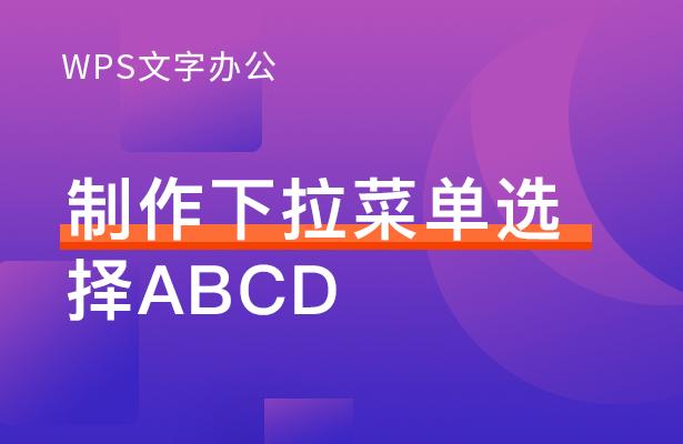 wps表格如何制作下拉菜单选择abcd,wps表格怎么选择下拉菜单