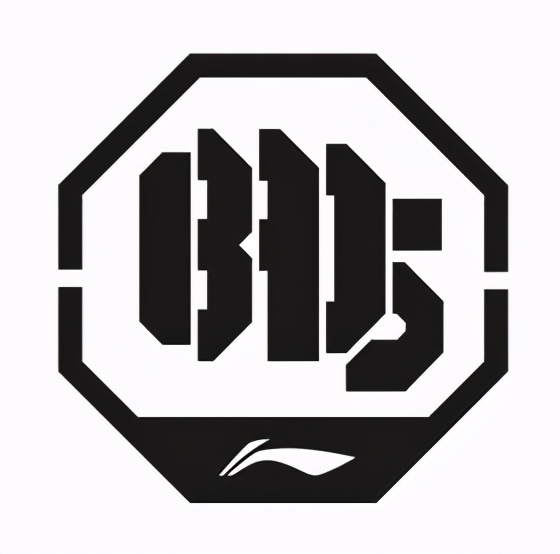 李宁惟吾pro联名aape,aape联名李宁驭帅照片