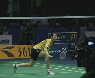 羽毛球新手入门基本知识,羽毛球快速入门学哪几个技巧