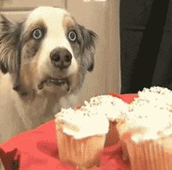 睡觉恶搞搞笑gif,睡觉gif搞笑动态图片大全