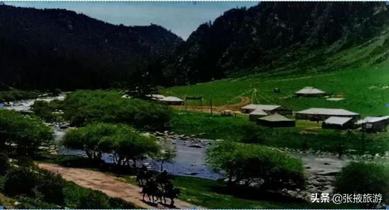 山丹军马场旅游去哪个马场,山丹军马场世界第一大军马场