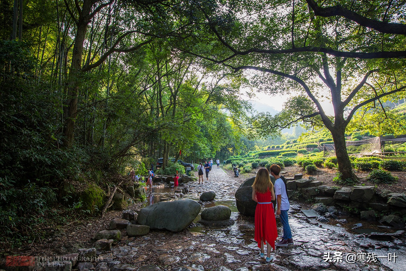 杭州当地人推荐的景点,杭州人避暑去哪