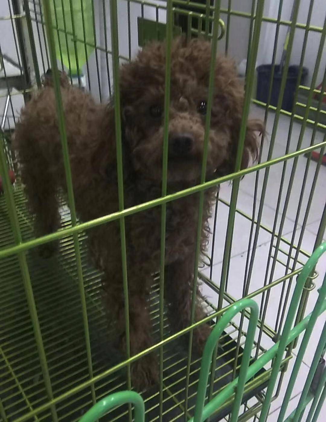 拼车回家绝非迫不得已，但想说爱你并不容易