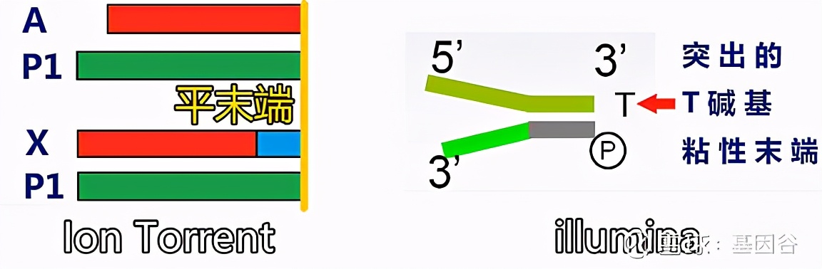 全场硬菜！分子诊断技术全解析