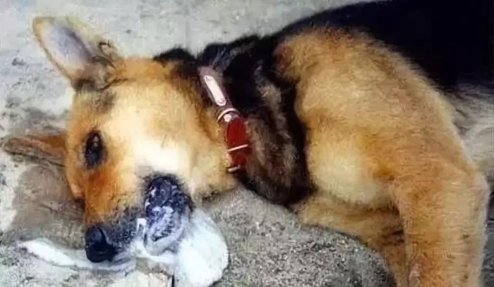 零容忍严厉整治,零容忍杭州禁毒