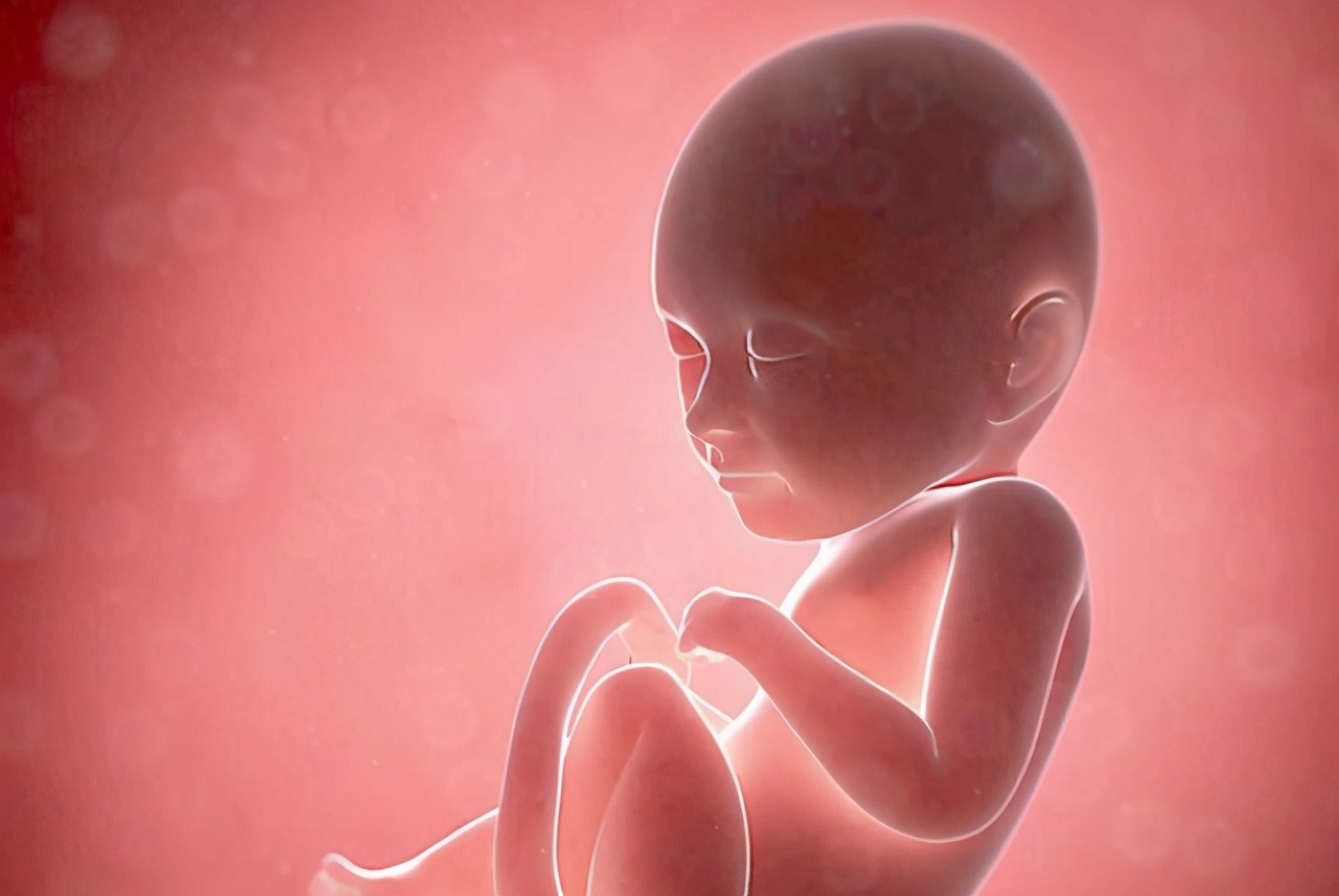 胎宝宝大小和手的比较,胎宝宝发育过程头的位置变化