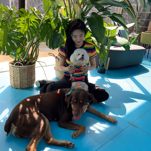 李菲儿照片白衣,李菲儿穿白色简约t恤