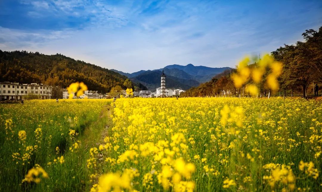 这才是国内最美的地方,这才是中国34省最该去的地方