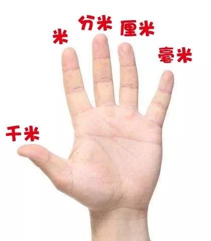 小学数学单位换算公式大全免费,小学数学单位换算公式大全完整版