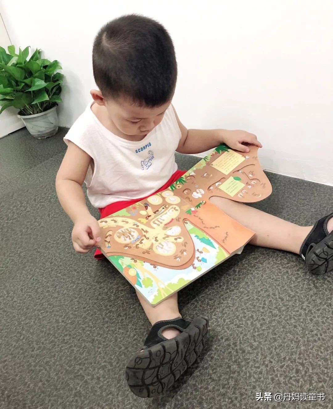 10岁左右童装品牌排行榜,10-20元童装