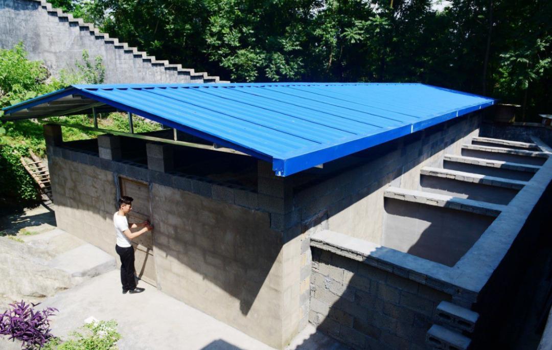 菜花蛇没毒为什么是蛇王,菜花蛇无毒为何被称为百蛇之王