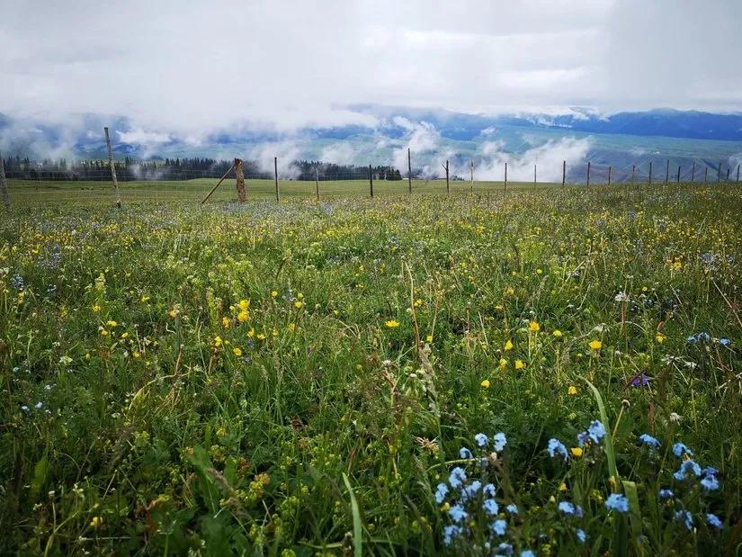 喀拉峻穿越琼库什台几天,喀拉峻穿越琼库什台