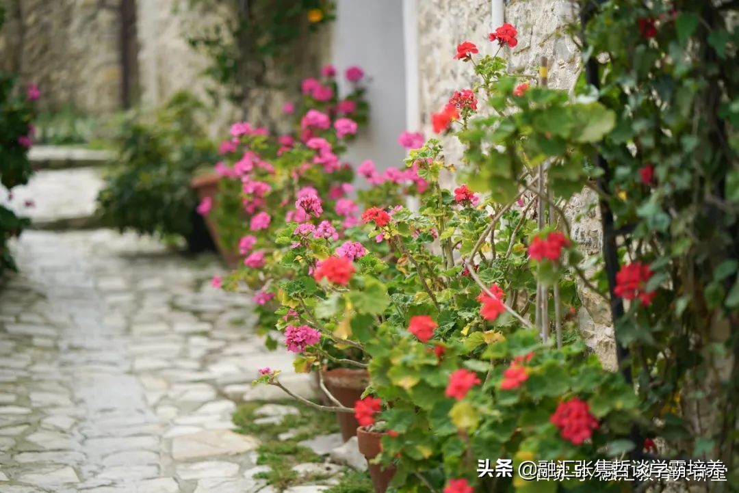 学习没有动力怎么办？1个公式，3种方法，实现人生的无限可能