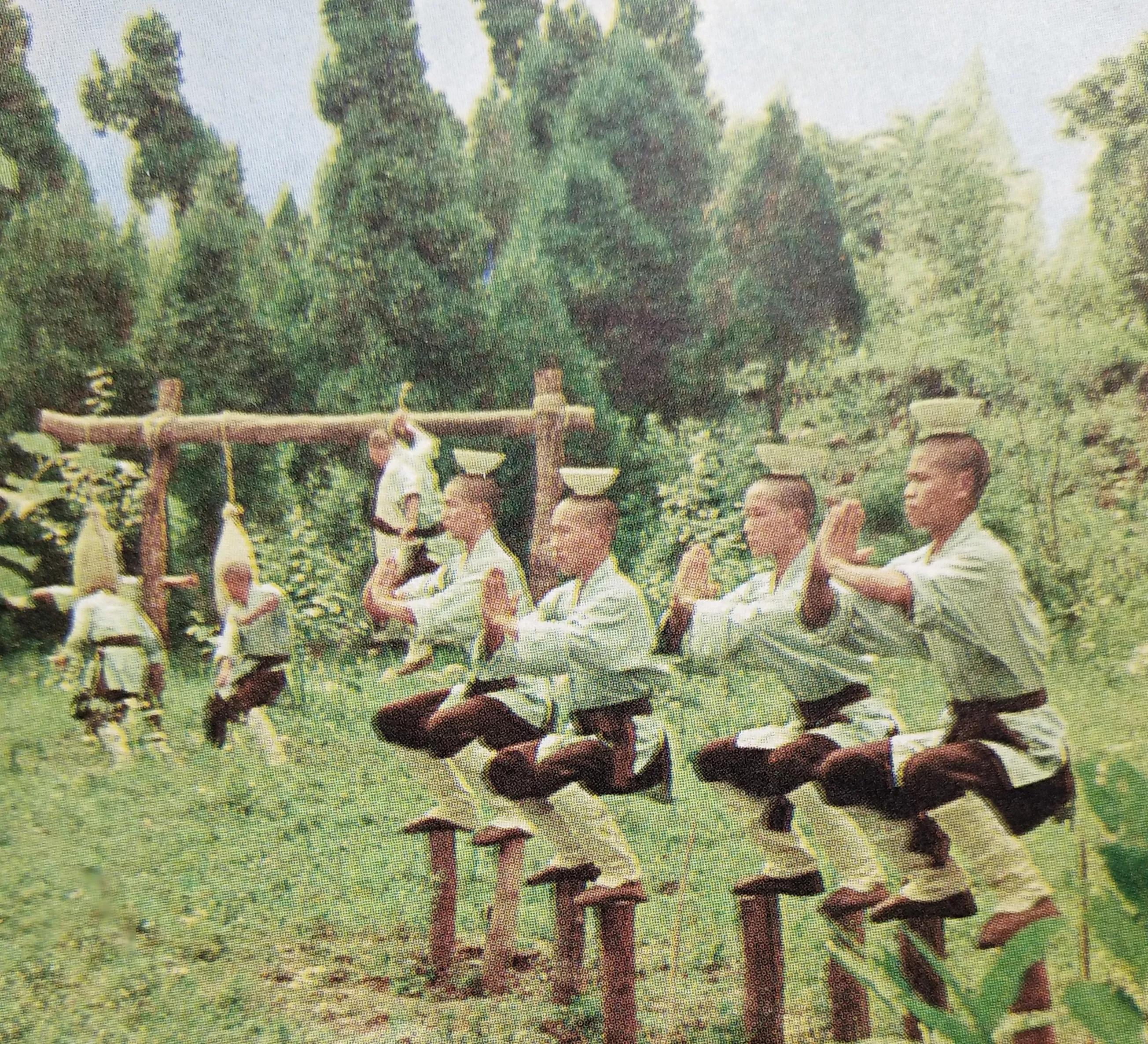 少林拳术秘诀，技击宗法入门