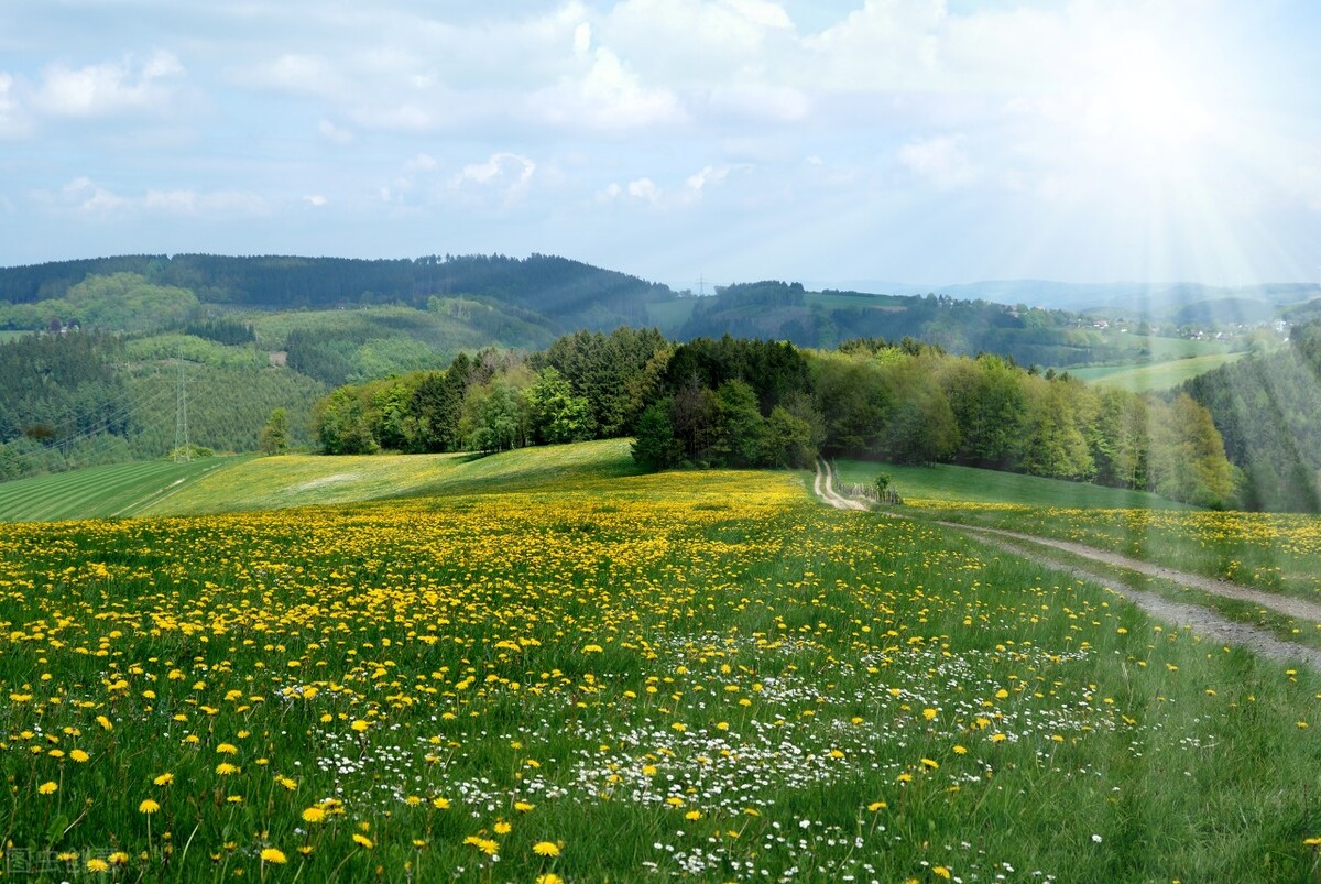 王世亮本人,王世亮莱阳