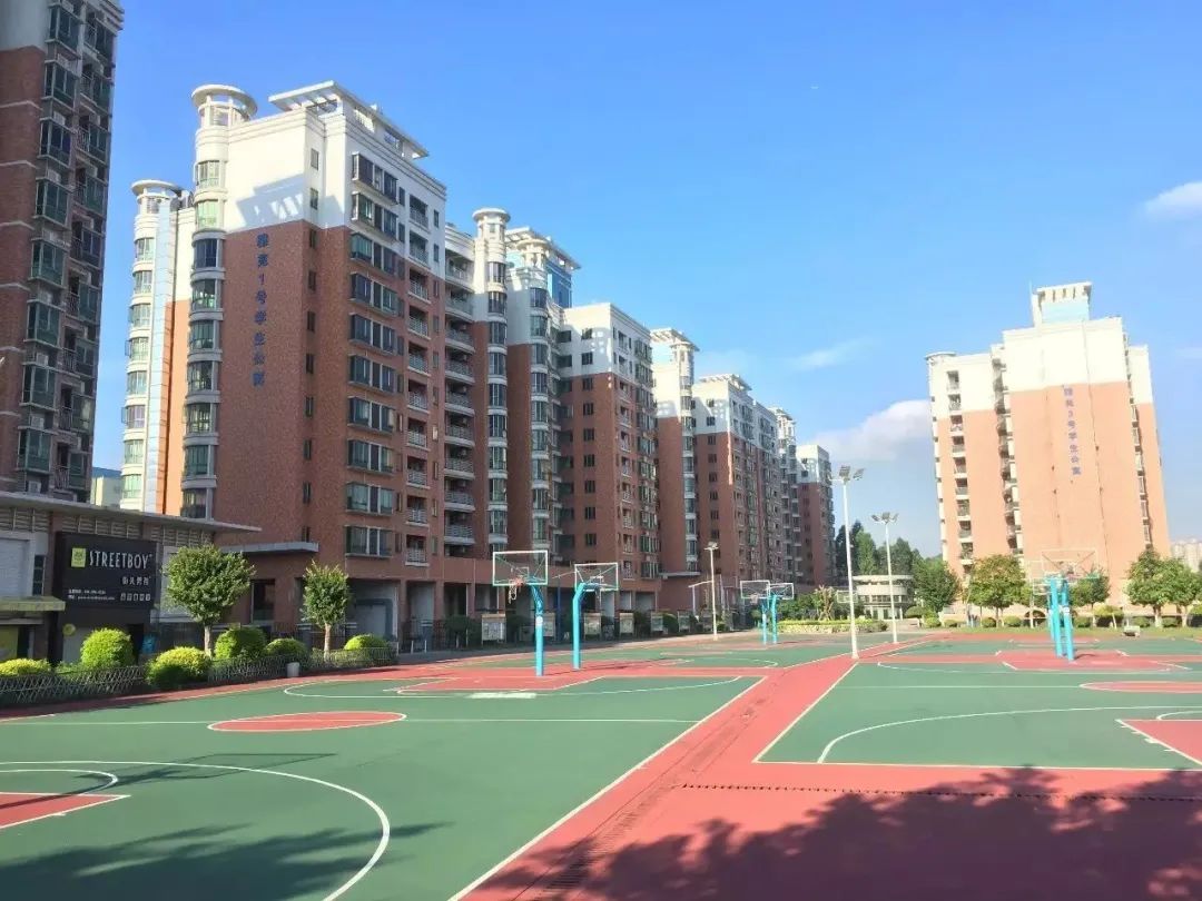 广东科技学院有没有高职专业,广东科技学院高职高考学费