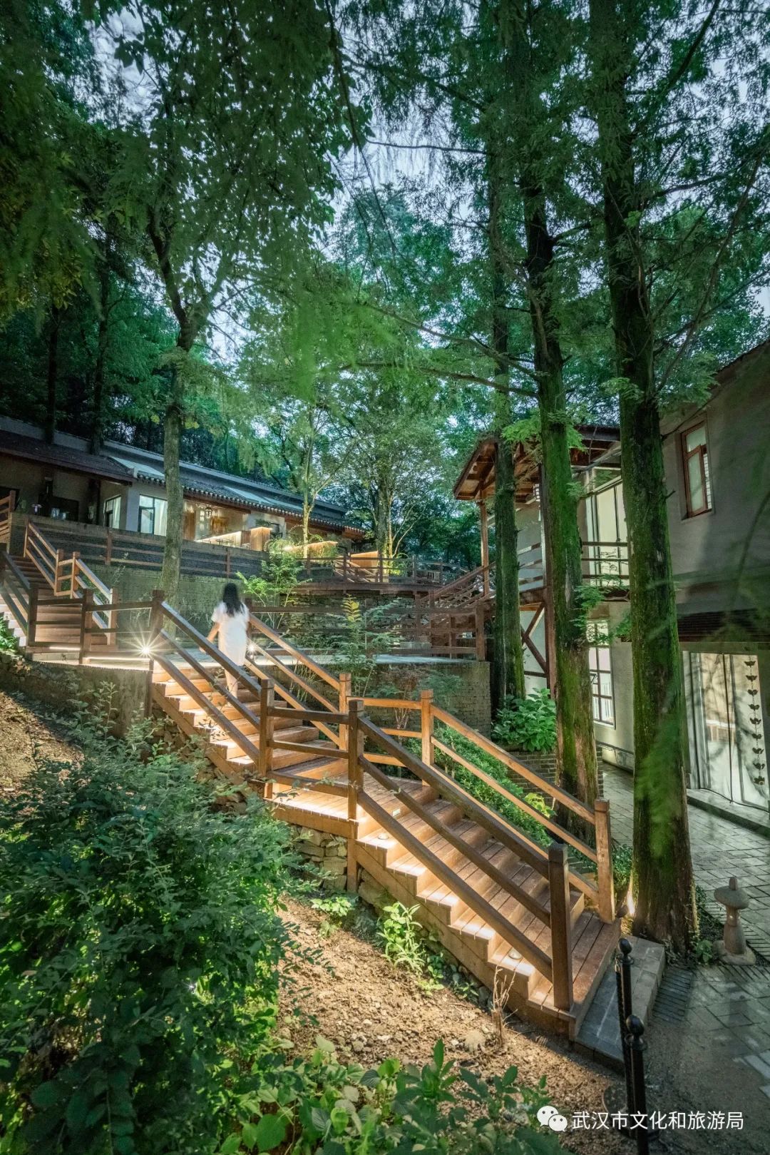 藏在武汉郊野的4家美宿来了，周末晚上来玻璃房看满天繁星