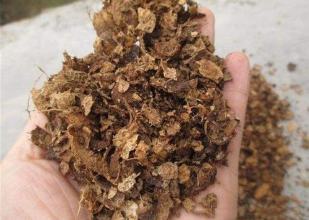 养花营养土怎么自制,在家如何制作养花营养土