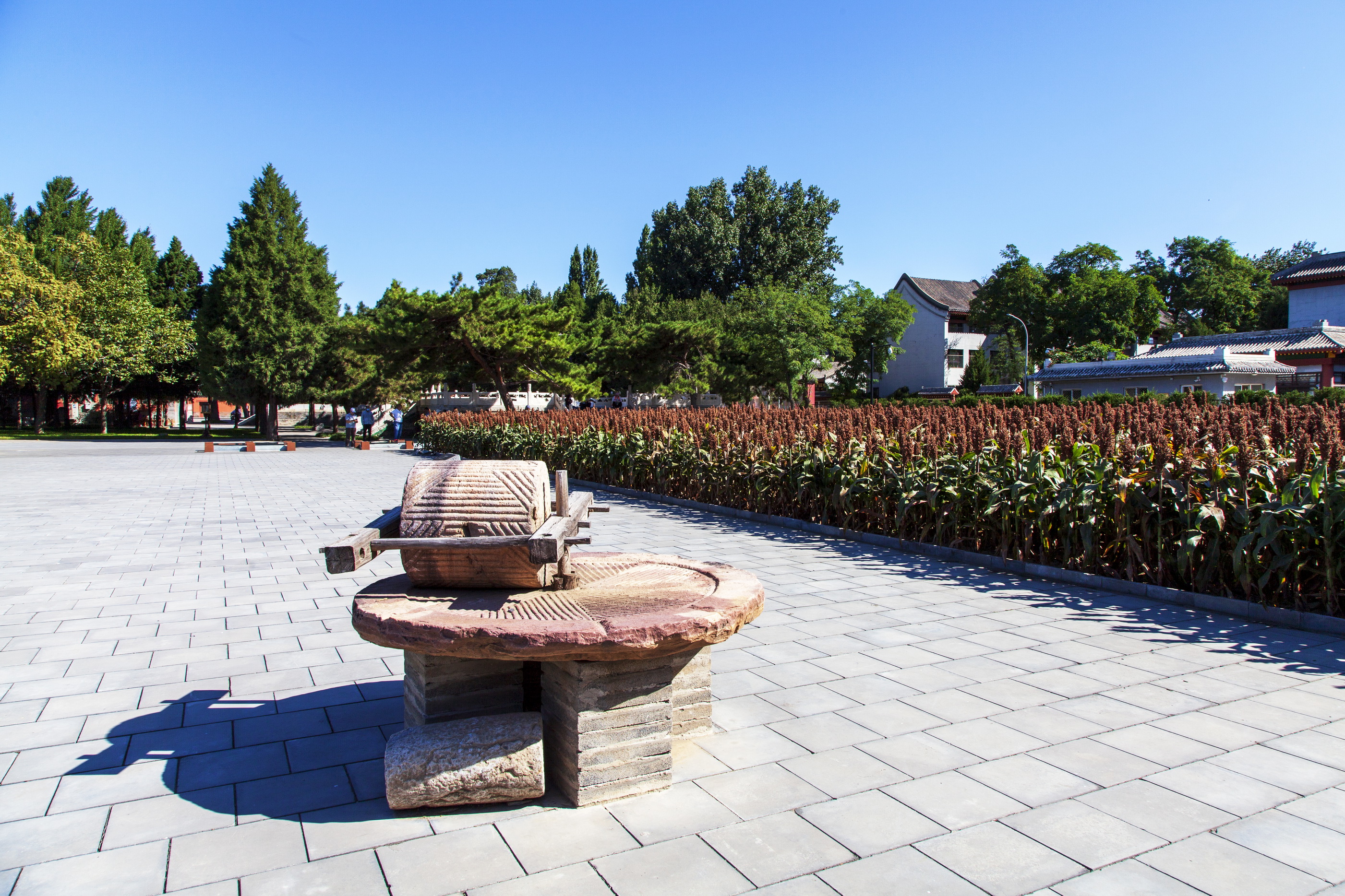 五坛八庙有先农坛吗,北京五坛先农坛