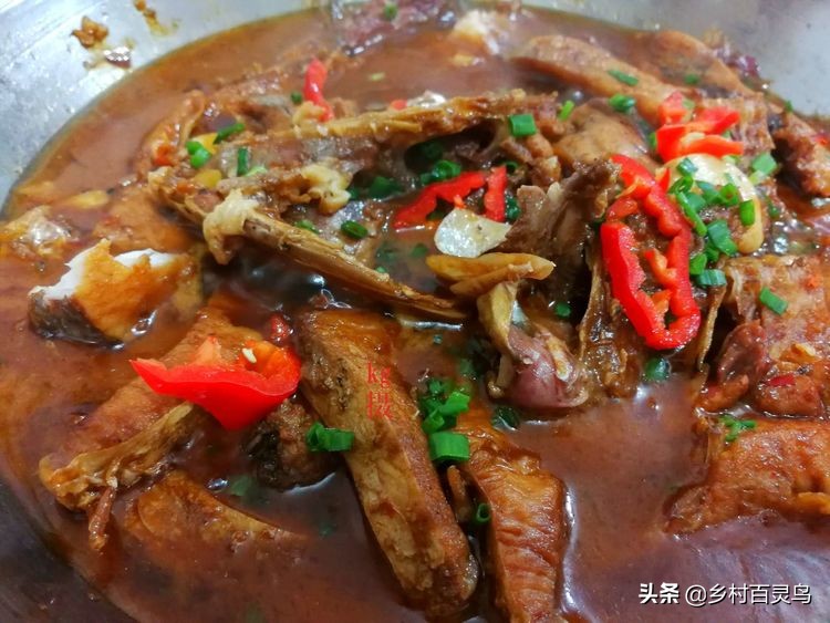 舌尖上的家常菜鱼,舌尖上的味道百吃不腻完整版