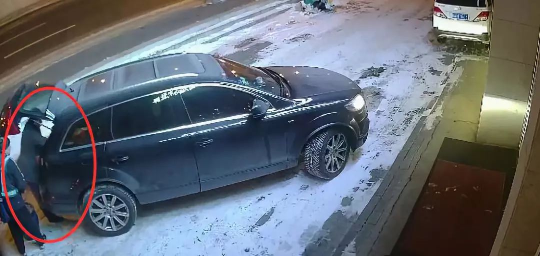 开豪车偷路边花盆,郑州男子开奥迪偷东西