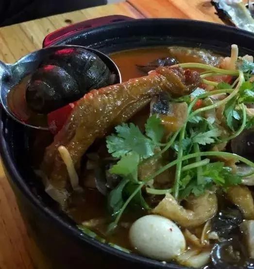 南宁最好吃的田螺煲,南宁田螺鸭脚煲