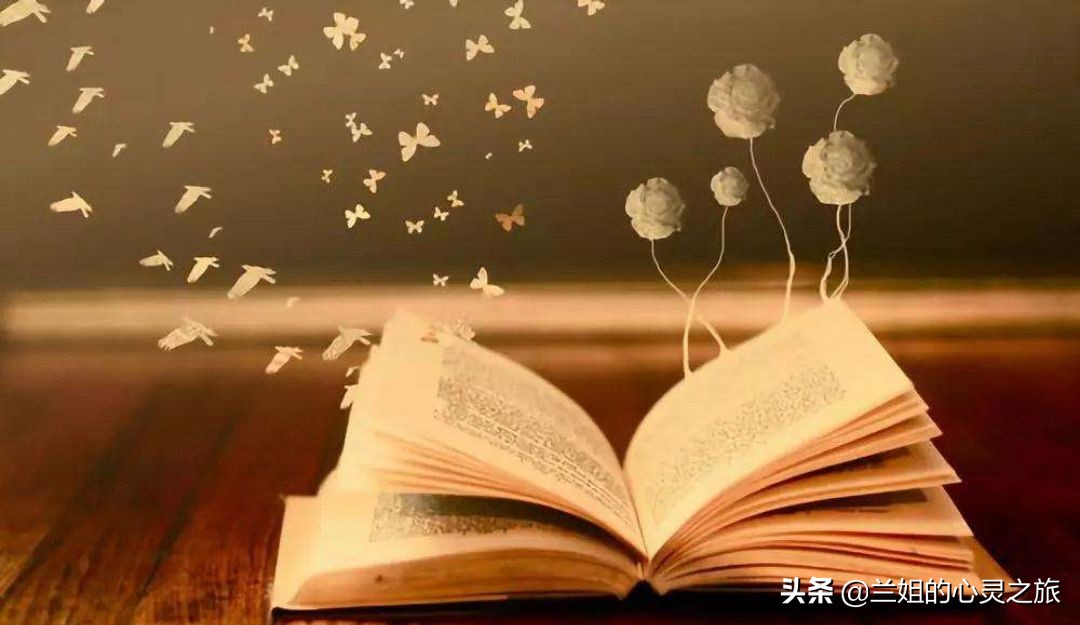 周公解梦梦见蜘蛛精,周公解梦梦见蜘蛛是什么征兆