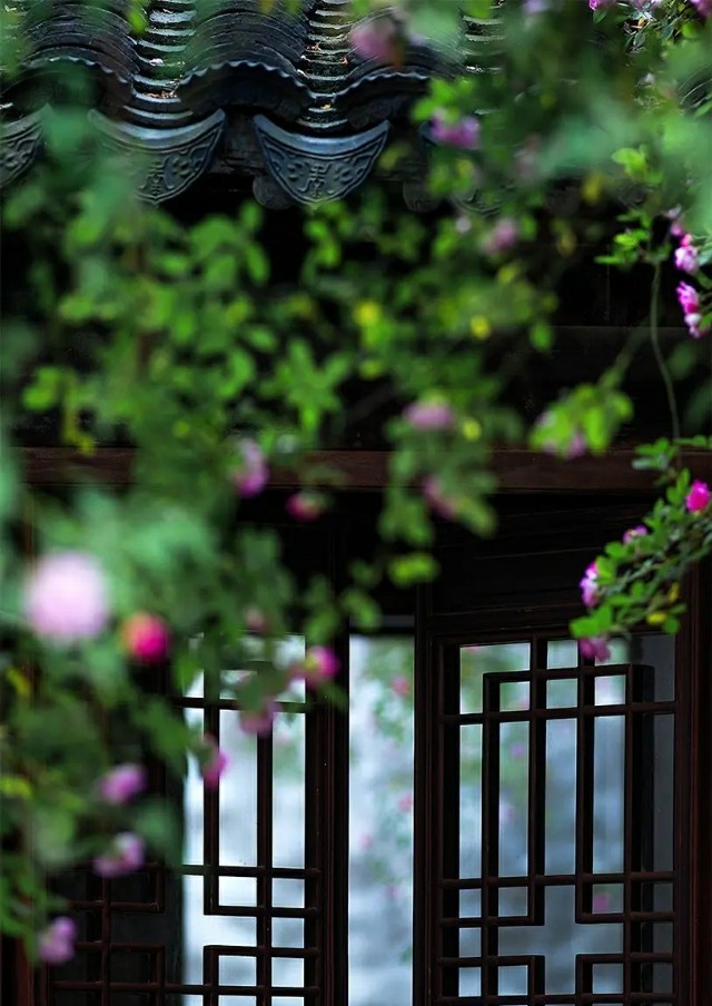 信手辞春，浅夏茵茵，时光清浅，许你安然