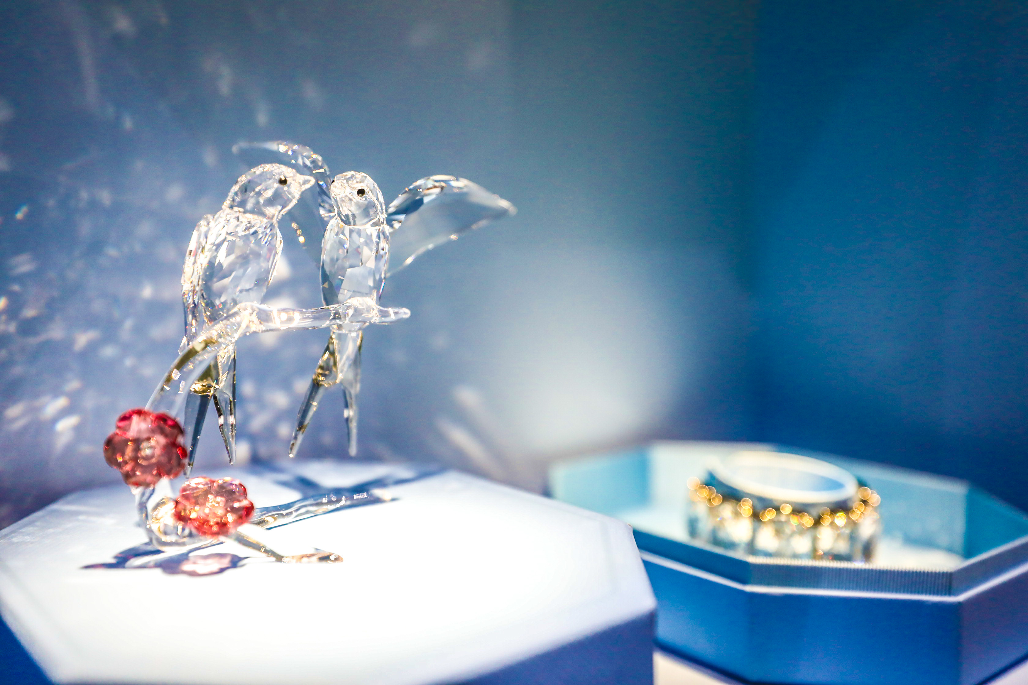 施华洛世奇中国国际进口博览会 (施华洛世奇参展中国)