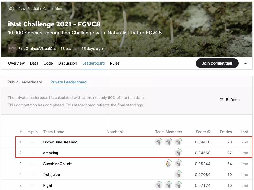 字节跳动全套高级学习资料,字节跳动的成功秘诀
