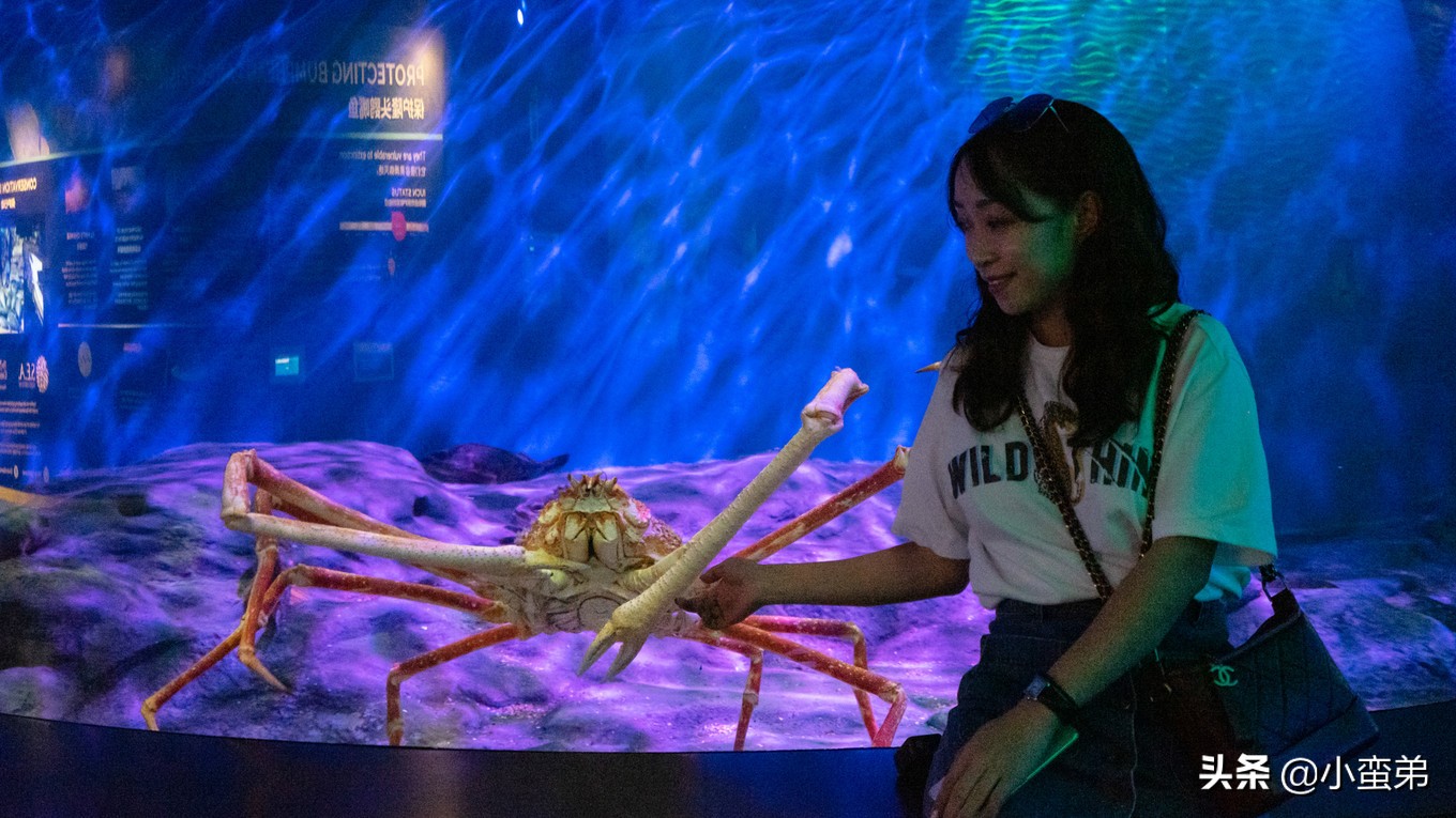 5年之许，小白逆袭重返新加坡