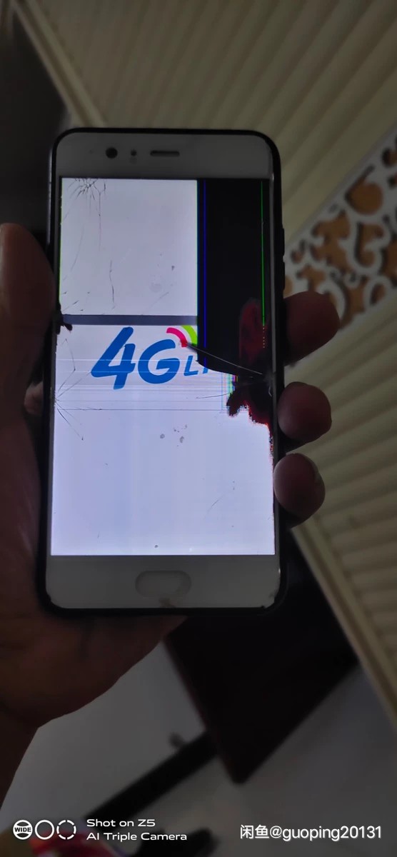 闲鱼纠纷如何解决,闲鱼纠纷怎么解决