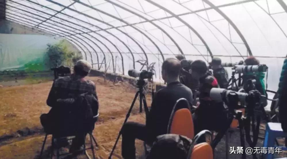 被囚34年取精，被迫亲手杀死爱子，最后只能挣扎着死去…