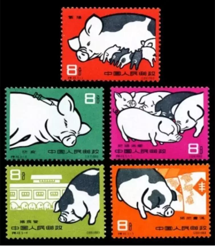 生肖猪邮票绘画设计图,生肖猪邮票有收藏价值吗