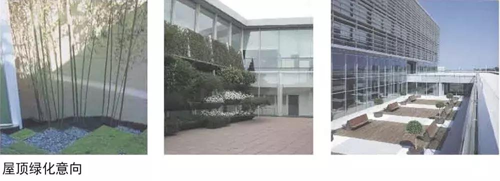 龙泉驿中医医院,龙泉驿中医院新院区现状