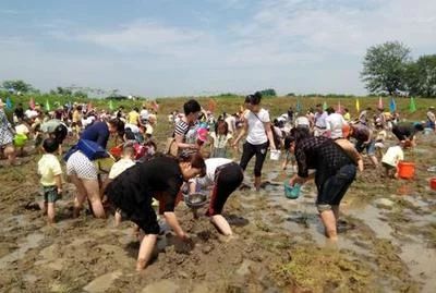 孩子很贪玩学习还很好,孩子好玩是天性