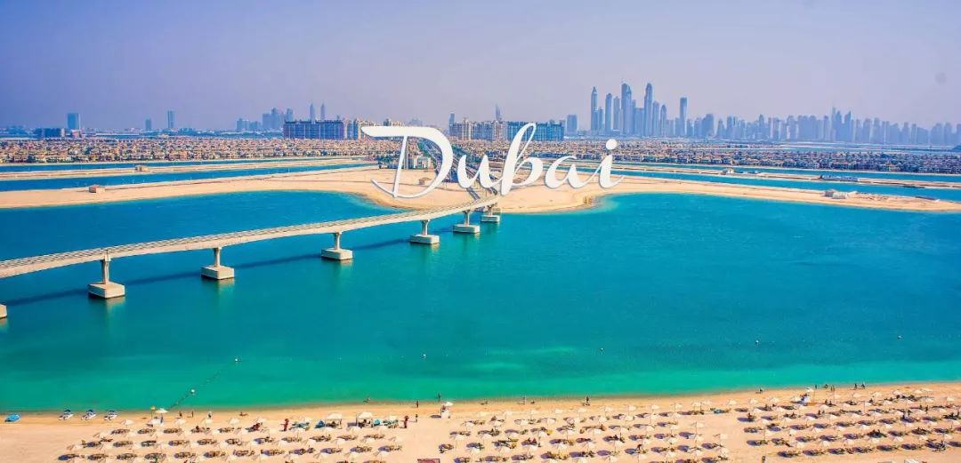 靠捡垃圾成了千亿富翁完整版,捡垃圾变成百万富翁