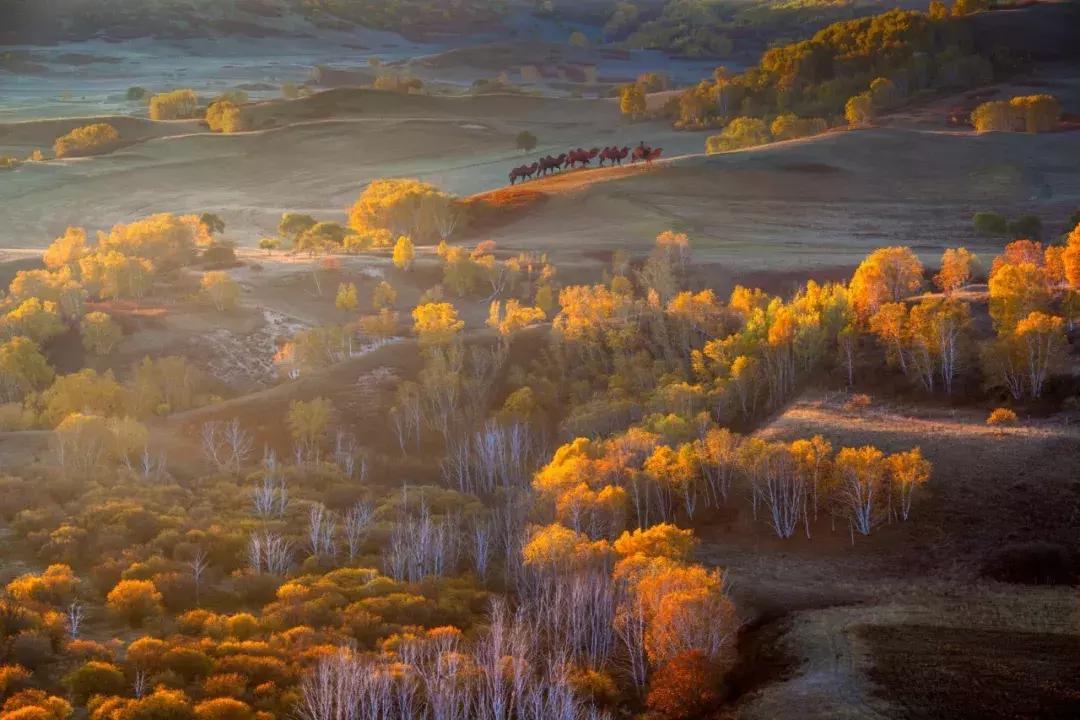 北京风景游玩区,北京郊区最美景点旅游攻略