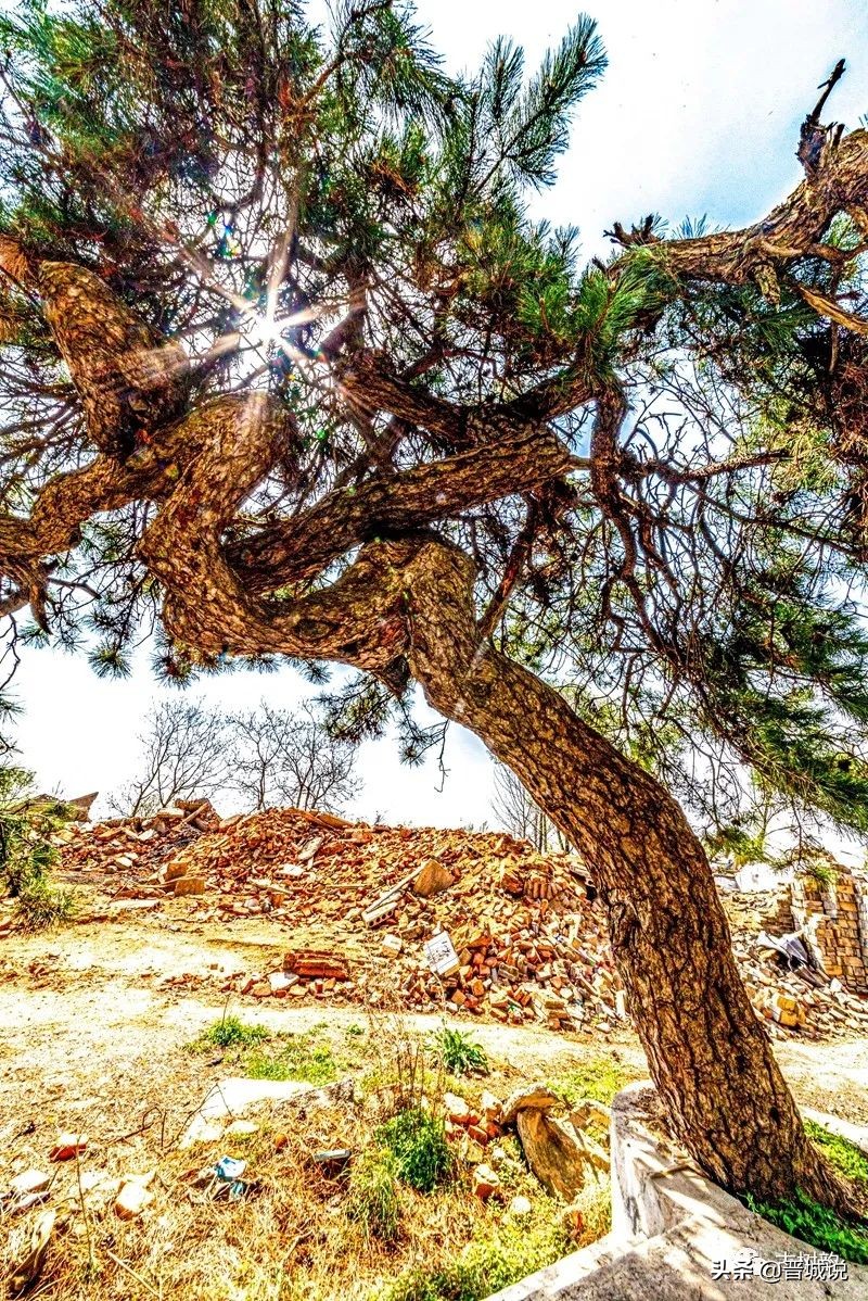 晋城龙凤山,晋城龙凤湖