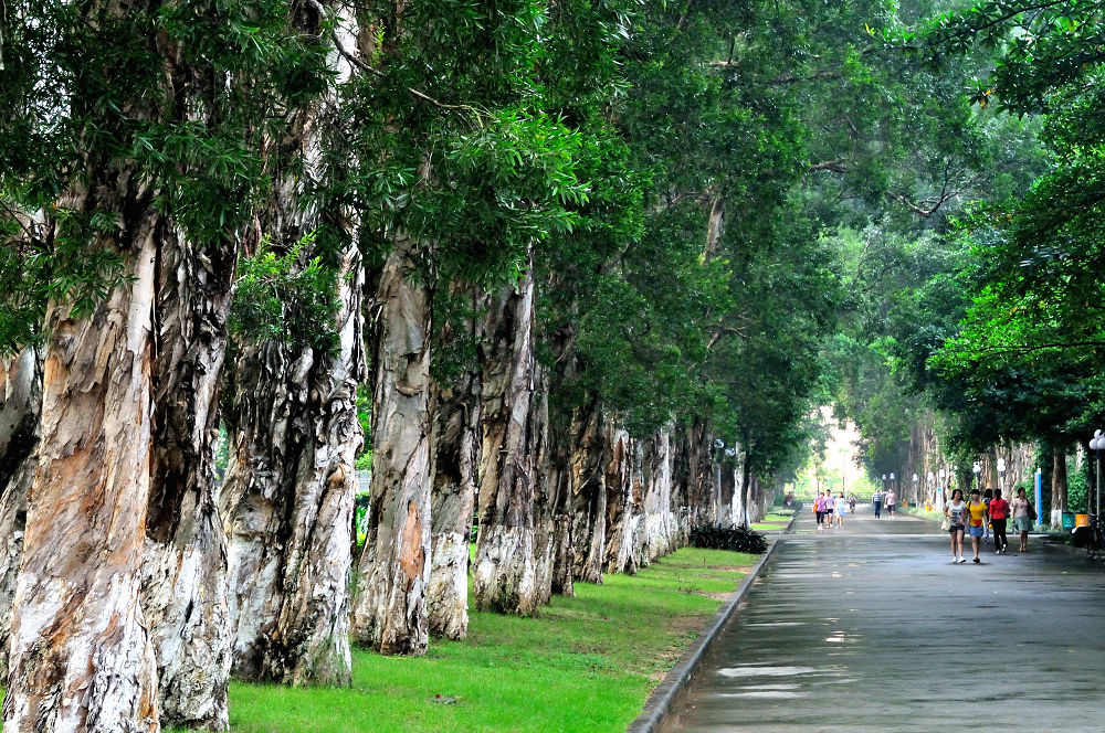 广东外语外贸大学就业率高的原因,广东外语外贸大学会计专业薪资