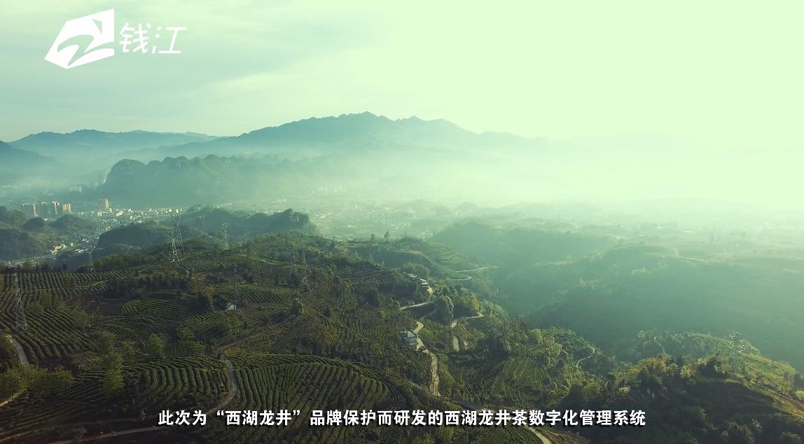 浙江电视台一周播报,浙江壹周播报