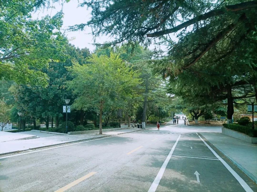 安徽省淮北师范大学录取分数线,安徽淮北十四中