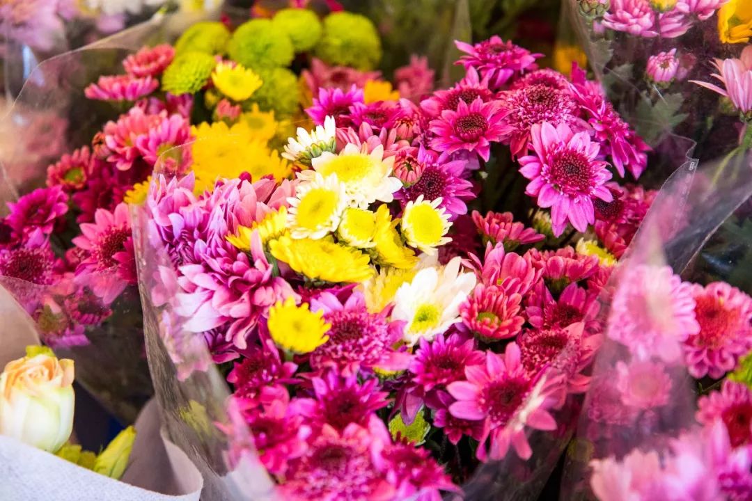 广州最大的花卉市场有哪些店,广州最便宜的花卉交易市场