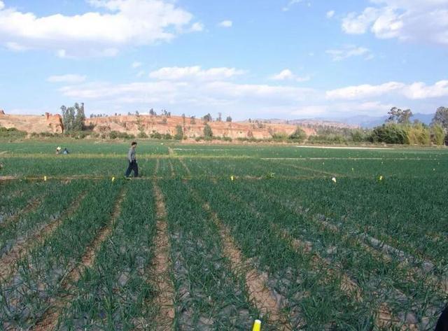 出口转内销的物价会降吗,出口转内销价格下跌严重