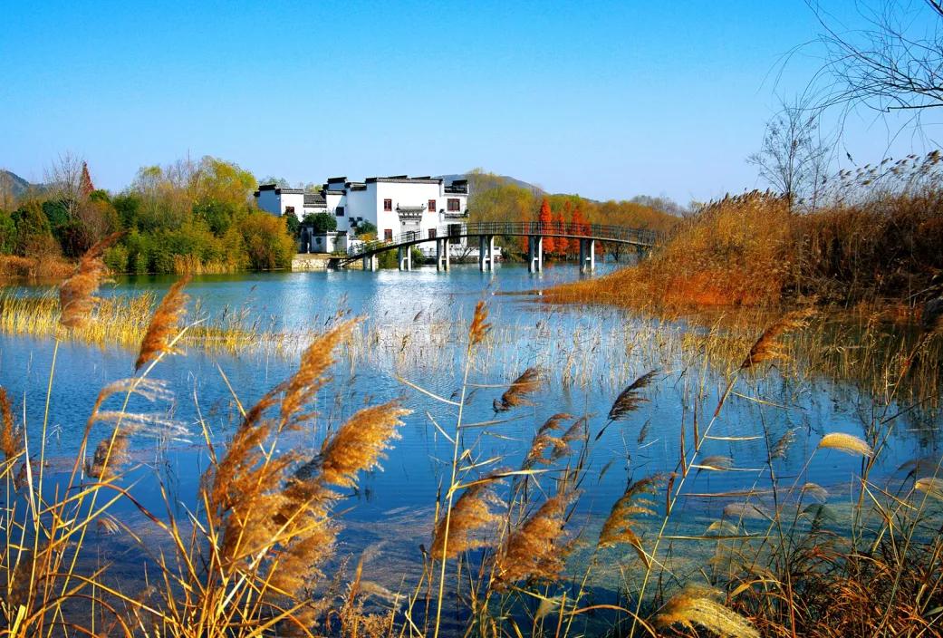 宿州秋色最浓的地方,宿州冬日游玩景点有哪些