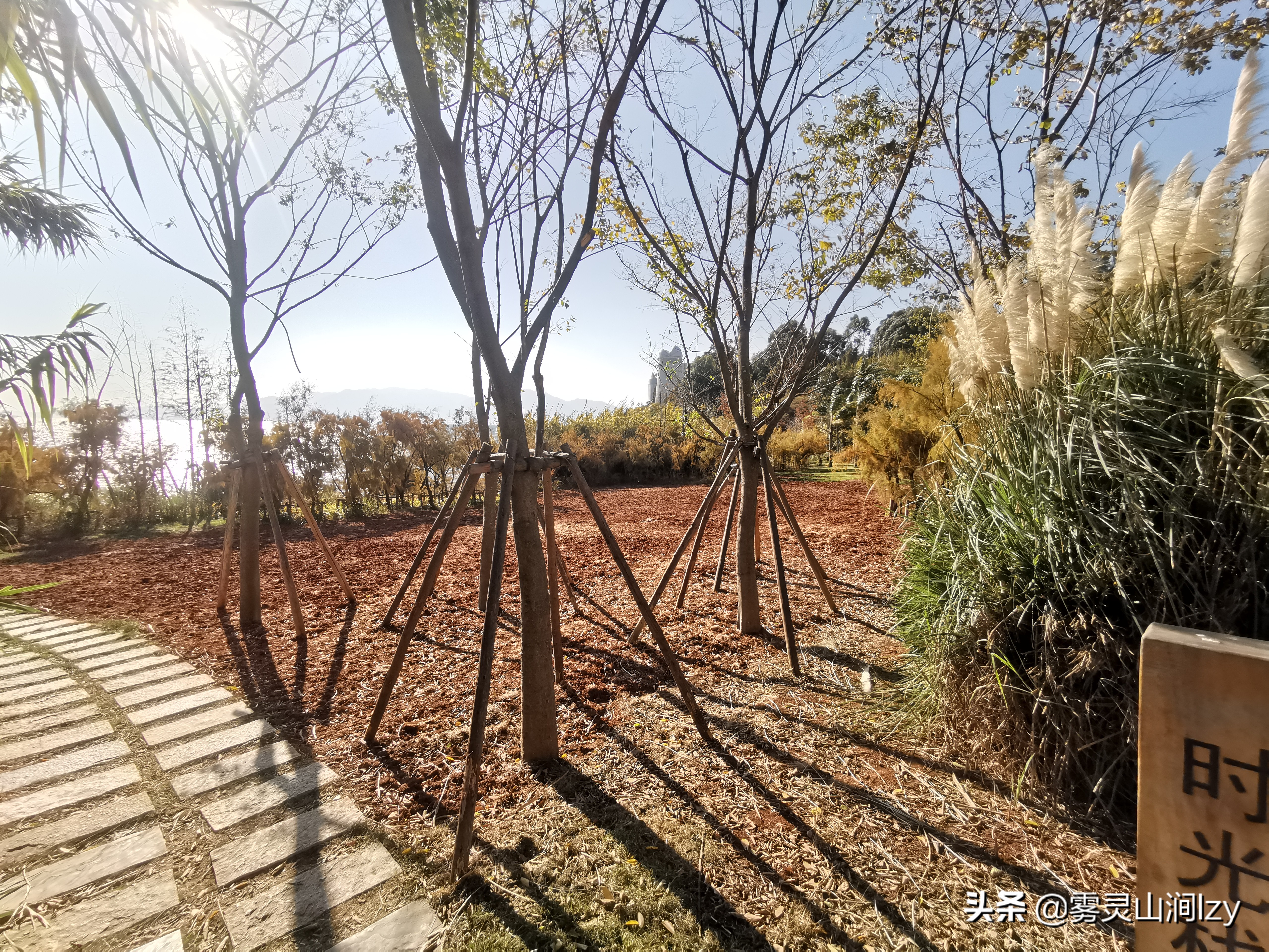 全国希尔顿一览,全中国度假酒店