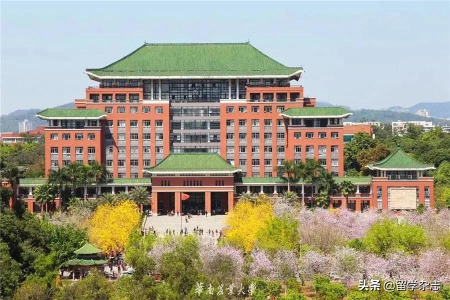 性价比高的纯国际学校,都柏林国际大学排名
