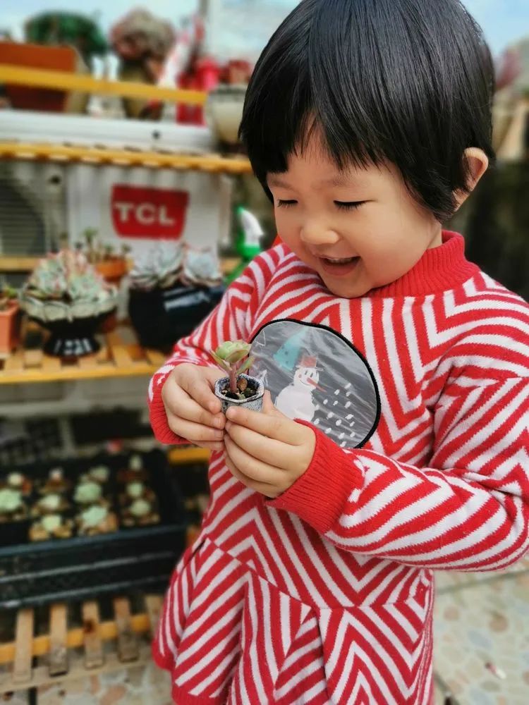 我和多肉,我与多肉